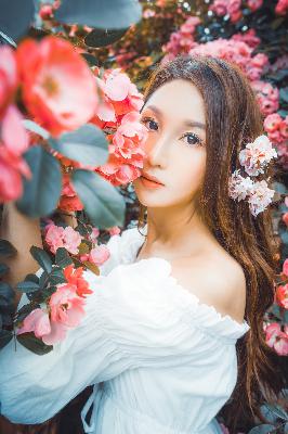 新闻女王第二季国语版